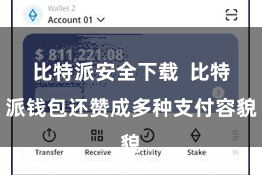 比特派安全下载  比特派钱包还赞成多种支付容貌